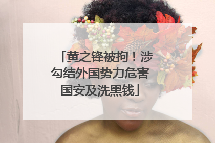 黄之锋被拘！涉勾结外国势力危害国安及洗黑钱