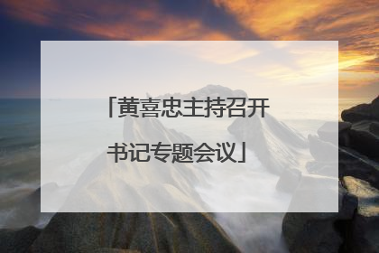 黄喜忠主持召开书记专题会议