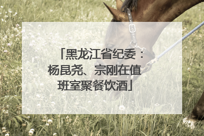黑龙江省纪委：杨昆尧、宗刚在值班室聚餐饮酒