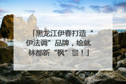 黑龙江伊春打造“伊法调”品牌，绘就林都新“枫”景！