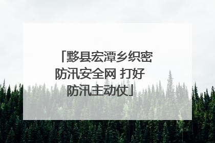 黟县宏潭乡织密防汛安全网 打好防汛主动仗