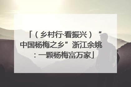 （乡村行·看振兴）“中国杨梅之乡”浙江余姚：一颗杨梅富万家