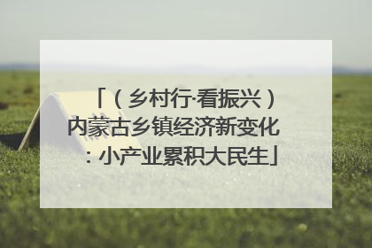 （乡村行·看振兴）内蒙古乡镇经济新变化：小产业累积大民生