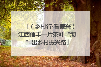 （乡村行·看振兴）江西信丰一片茶叶“沏”出乡村振兴路