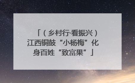 （乡村行·看振兴）江西铜鼓“小杨梅”化身百姓“致富果”