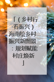 （乡村行·看振兴）海南绘乡村振兴新图景：规划赋能 村庄焕新