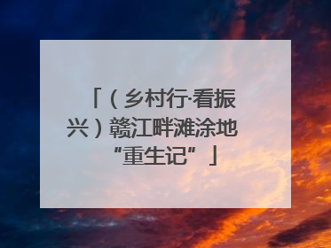 （乡村行·看振兴）赣江畔滩涂地“重生记”