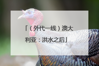 (外代一线)澳大利亚:洪水之后