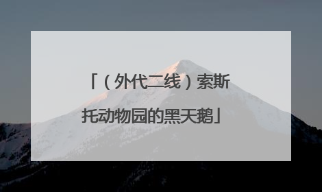 （外代二线）索斯托动物园的黑天鹅