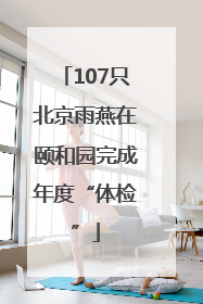 107只北京雨燕在颐和园完成年度“体检”