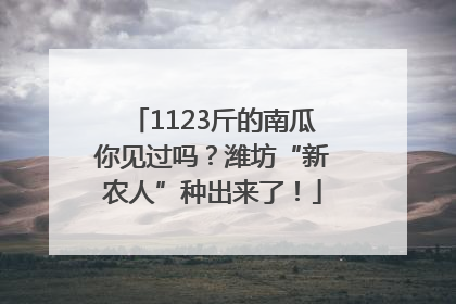 1123斤的南瓜你见过吗？潍坊“新农人”种出来了！