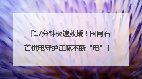 17分钟极速救援！国网石首供电守护江豚不断“电”