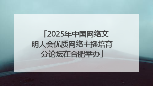 2025年中国网络文明大会优质网络主播培育分论坛在合肥举办
