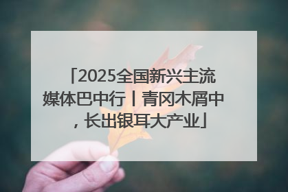 2025全国新兴主流媒体巴中行丨青冈木屑中，长出银耳大产业