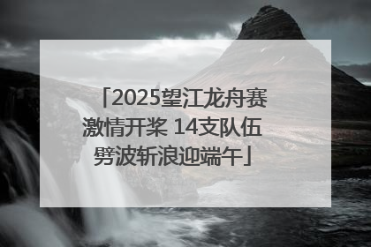 2025望江龙舟赛激情开桨 14支队伍劈波斩浪迎端午