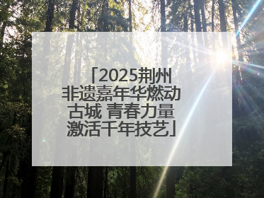 2025荆州非遗嘉年华燃动古城 青春力量激活千年技艺