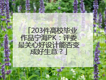 203件高校毕业作品宁海PK：评委最关心好设计能否变成好生意？