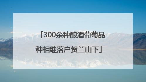 300余种酿酒葡萄品种相继落户贺兰山下