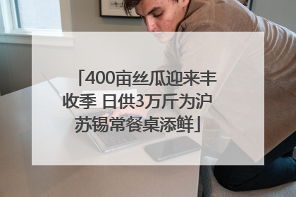 400亩丝瓜迎来丰收季 日供3万斤为沪苏锡常餐桌添鲜