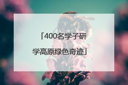 400名学子研学高原绿色奇迹