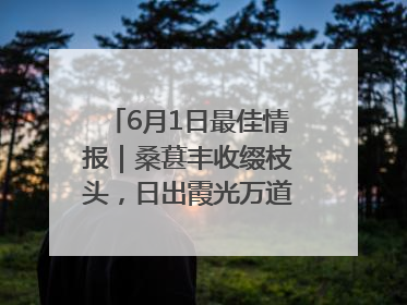6月1日最佳情报｜桑葚丰收缀枝头，日出霞光万道蓬勃壮观！恭喜