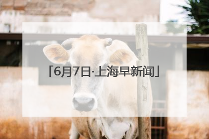 6月7日·上海早新闻
