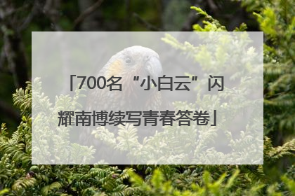 700名“小白云”闪耀南博续写青春答卷