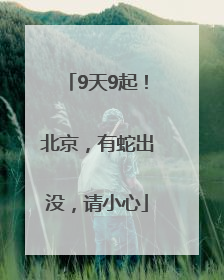 9天9起！北京，有蛇出没，请小心