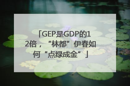 GEP是GDP的12倍，“林都”伊春如何“点绿成金”