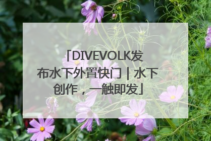 DIVEVOLK发布水下外置快门｜水下创作，一触即发